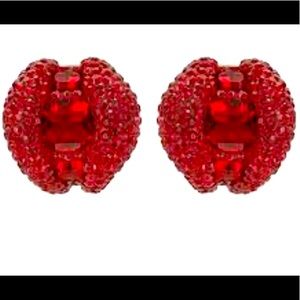 Atelier Swarovski earrings